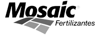 logo-mosaic-ok